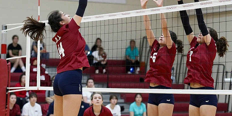 Vietnam Women's Volleyball: The SEA Games 32 Gold and the System Flaw Nobody Wants to Name Vietnam Women's Volleyball: The SEA Games 32 Gold and the System Flaw Nobody Wants to Name